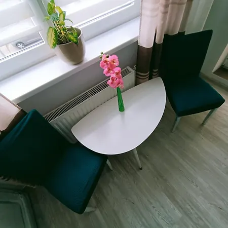 Apartment 2 Pokoje 4 Lozka Ul Prusa Centrum 45M Balkon Dla Max 4 Osob Pila